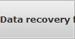 Data recovery for Ankeny data